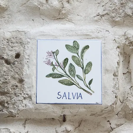 Diffuso Il Casale Ξενοδοχείο Ginosa