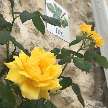 Diffuso Il Casale Hotel